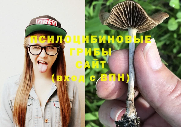 твердый Кинешма