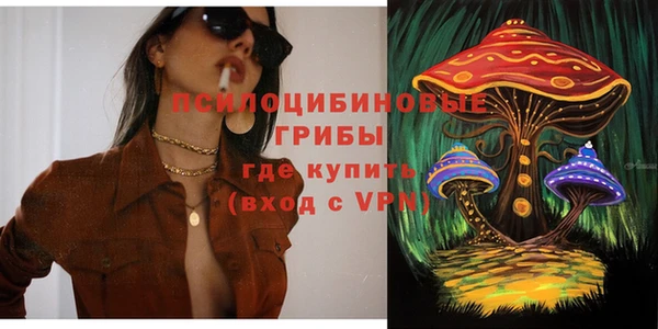 твердый Кинешма