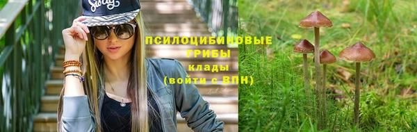 твердый Кинешма
