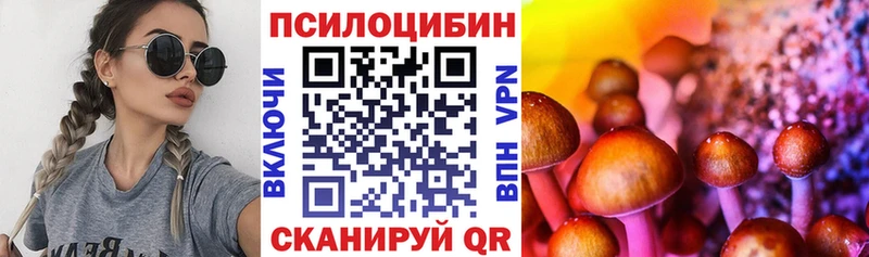 Галлюциногенные грибы Cubensis  цена   Юрюзань 